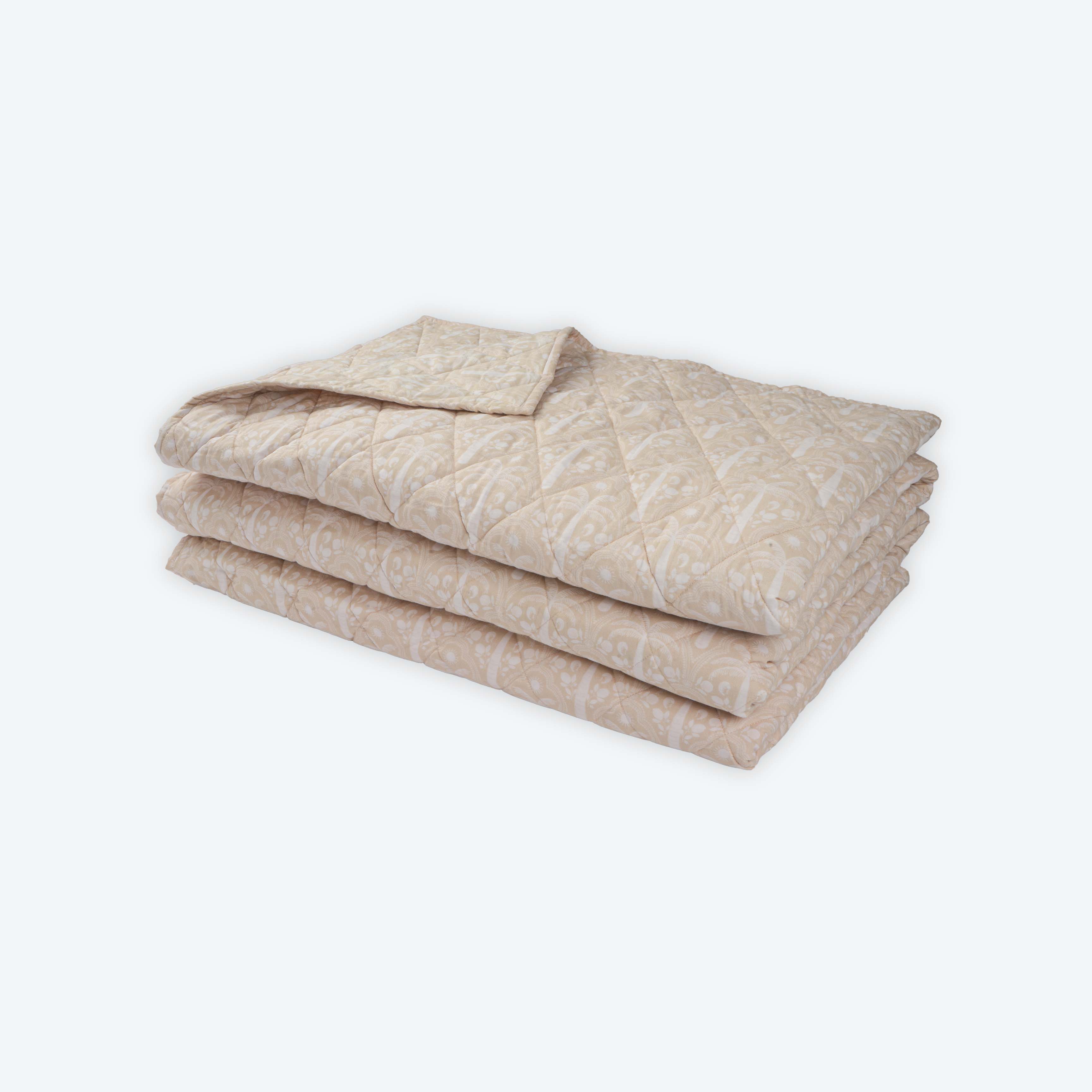 Decorative Cushions in Brown- Velvet, 55 cm x 55 cm